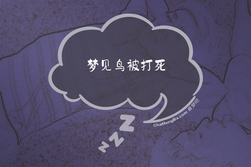 梦见鸟被打死