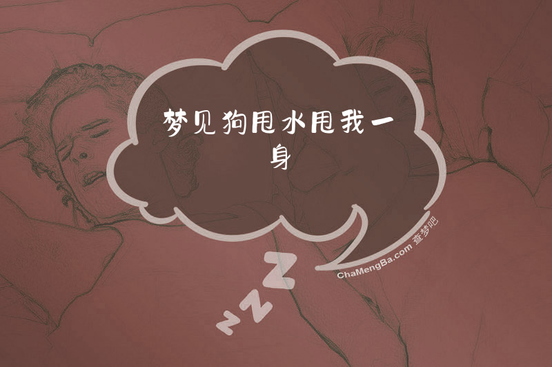 梦见狗甩水甩我一身