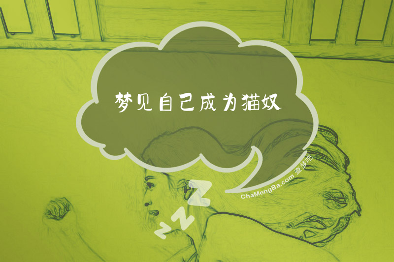 梦见自己成为猫奴