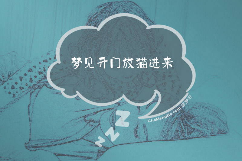 梦见开门放猫进来