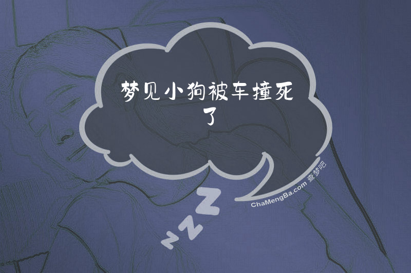 梦见小狗被车撞死了