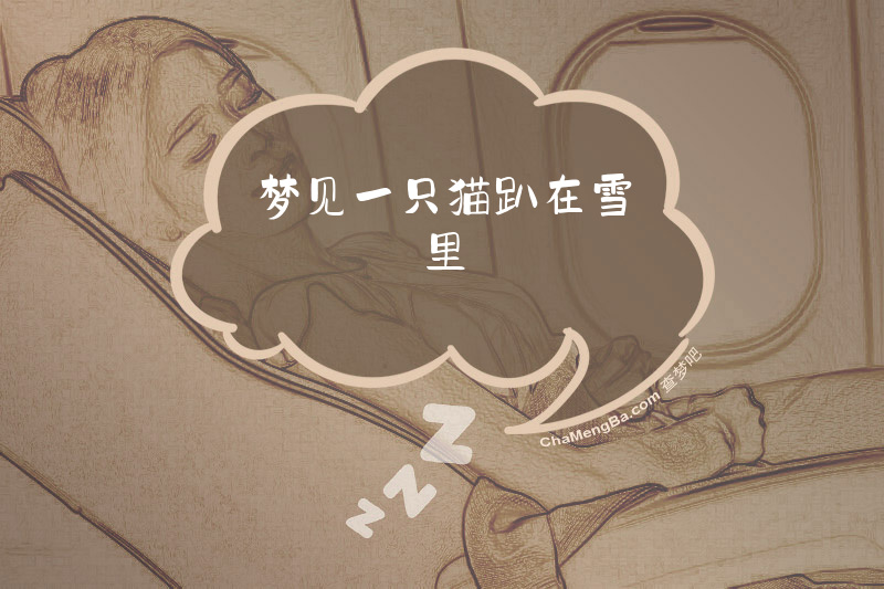 梦见一只猫趴在雪里