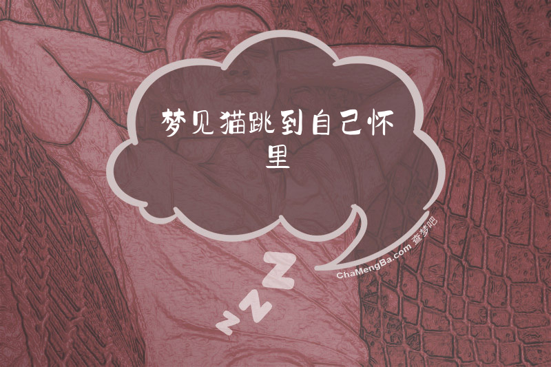 梦见猫跳到自己怀里