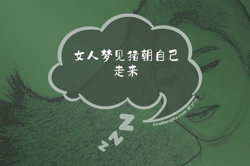 女人梦见猪朝自己走来