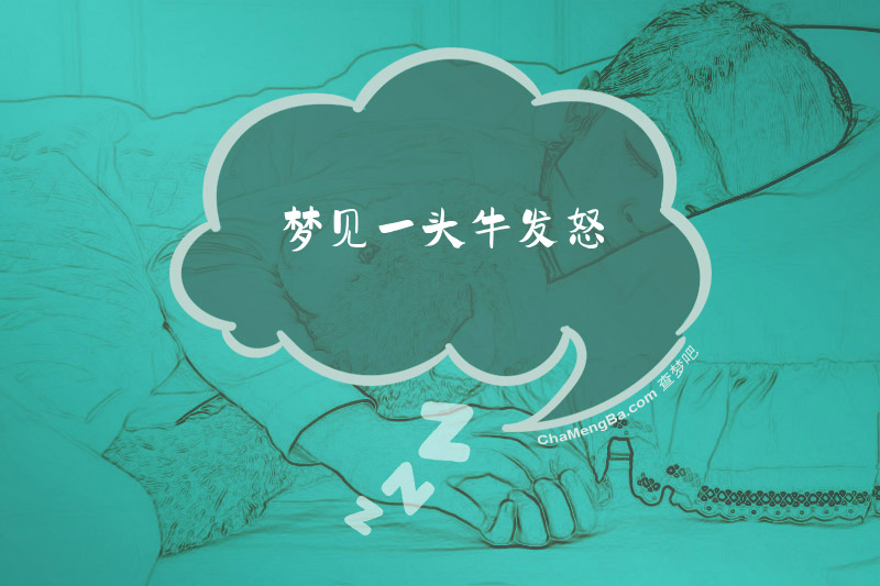 梦见一头牛发怒