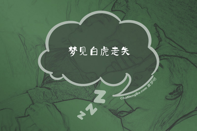 梦见白虎走失