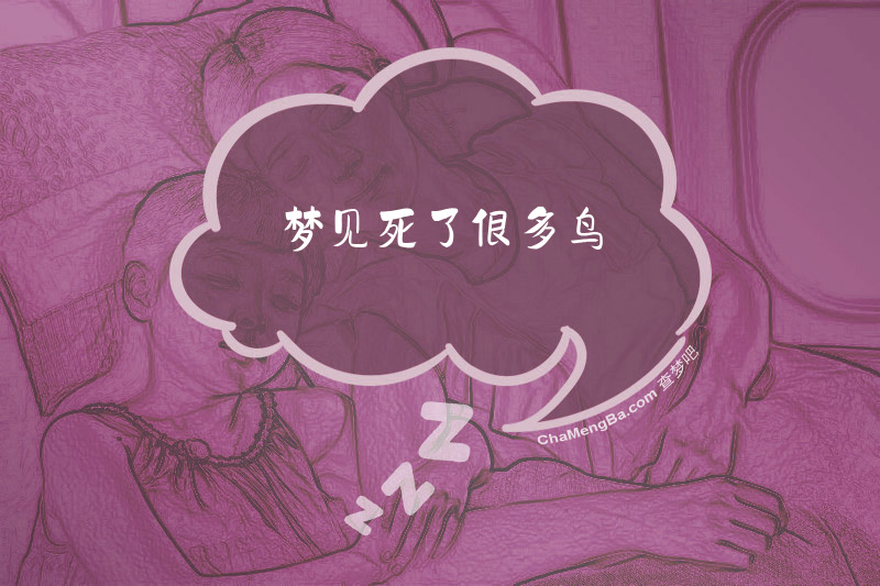 梦见死了很多鸟