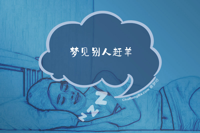 梦见别人赶羊