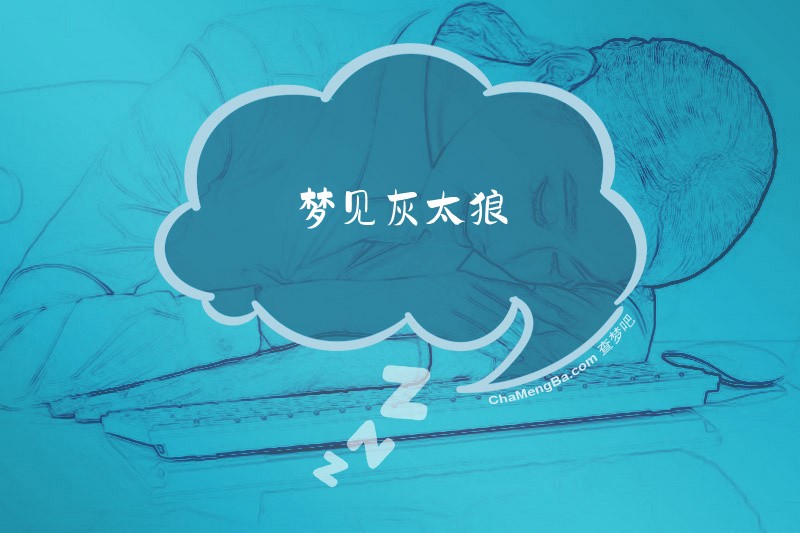 梦见灰太狼