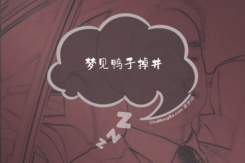梦见鸭子掉井