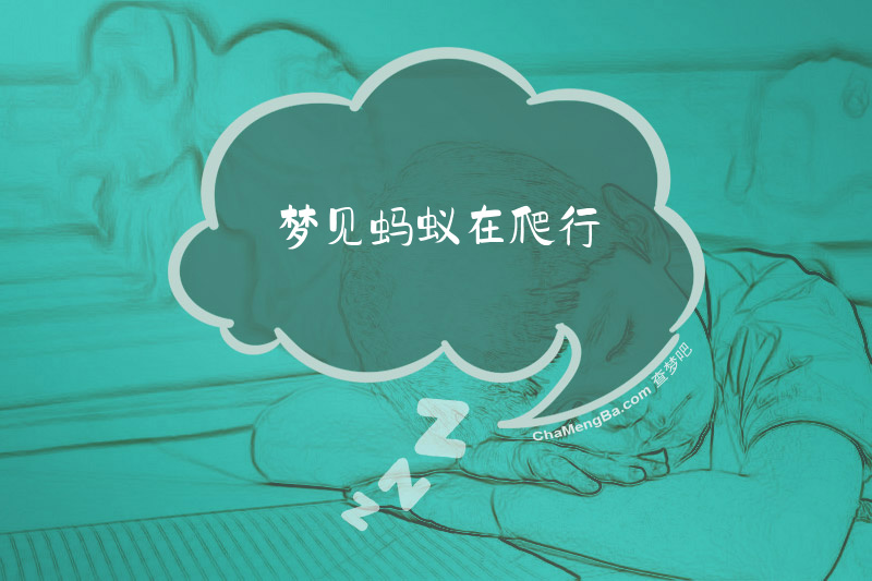 梦见蚂蚁在爬行