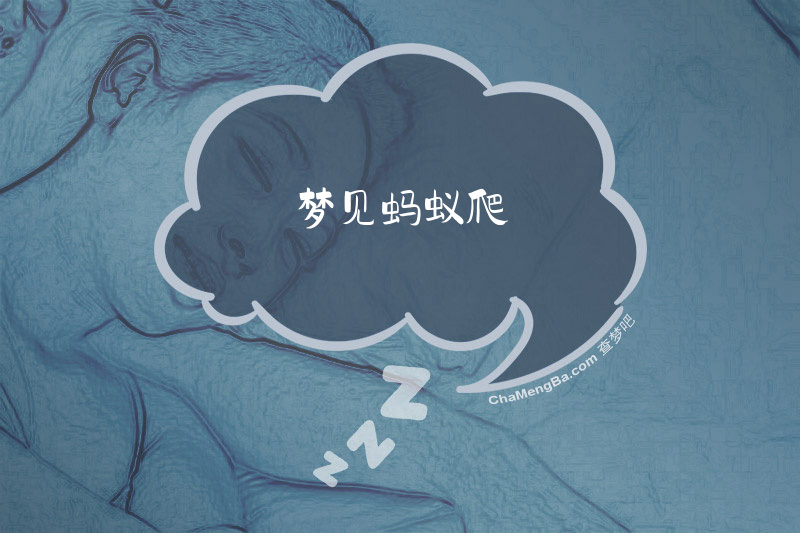 梦见蚂蚁爬