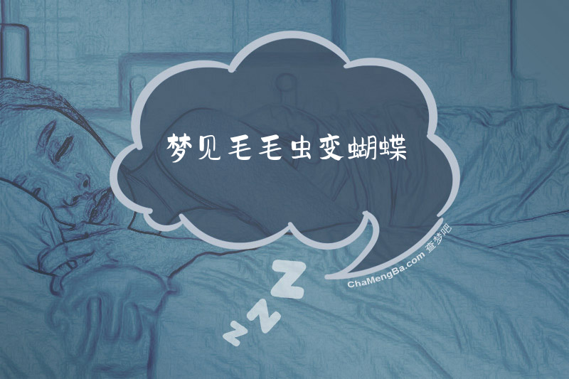 梦见毛毛虫变蝴蝶