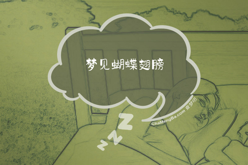梦见蝴蝶翅膀