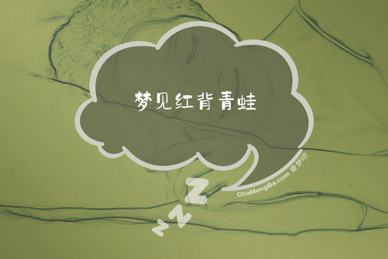 梦见红背青蛙