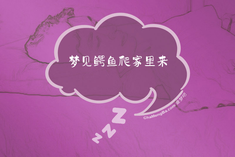 梦见鳄鱼爬家里来
