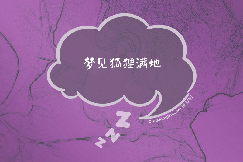 梦见狐狸满地