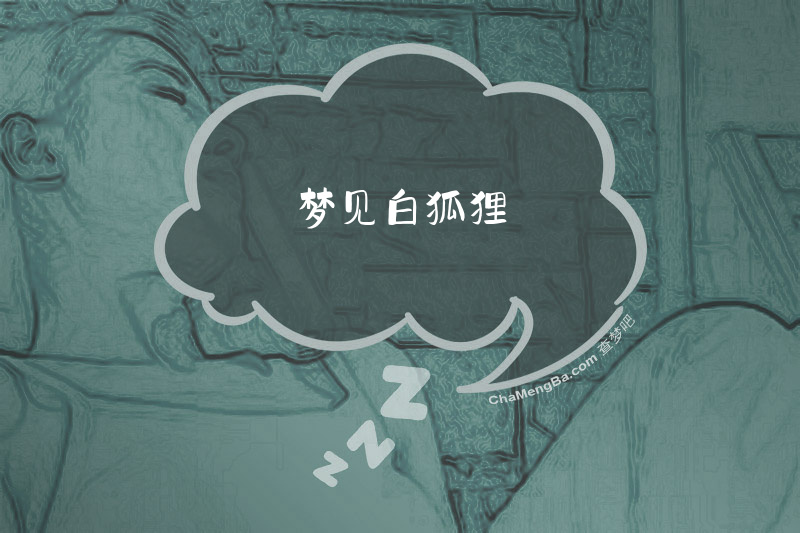 梦见白狐狸