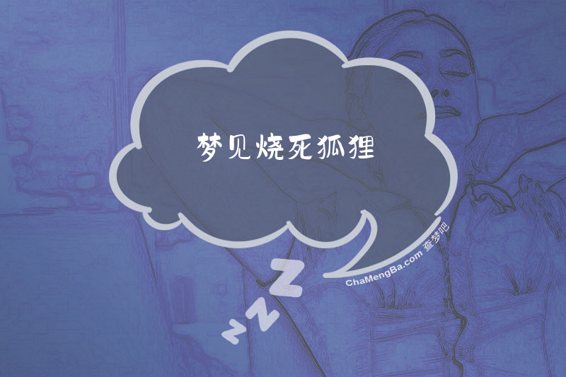 梦见烧死狐狸