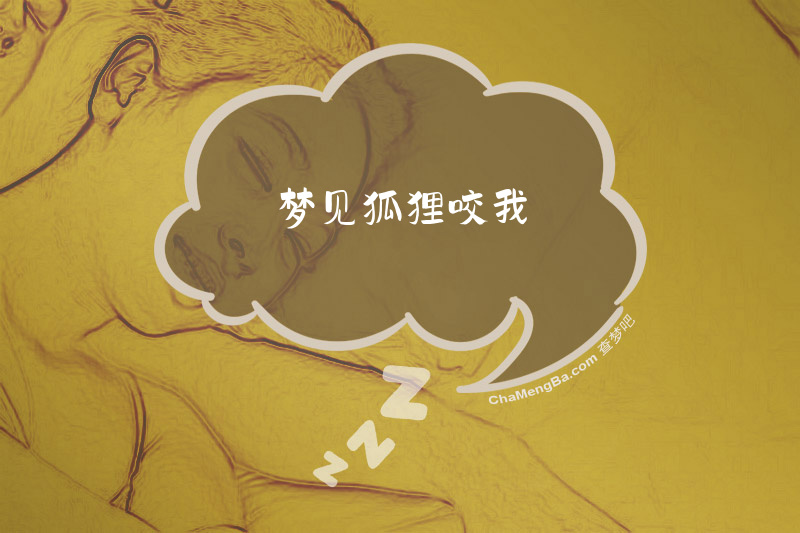 梦见狐狸咬我