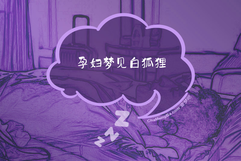 孕妇梦见白狐狸