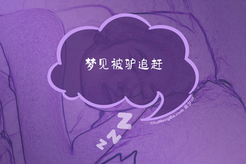 梦见被驴追赶