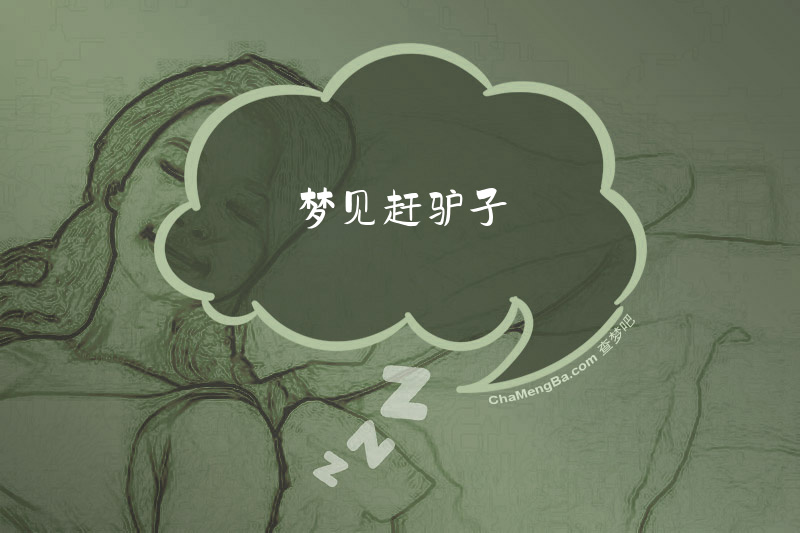 梦见赶驴子