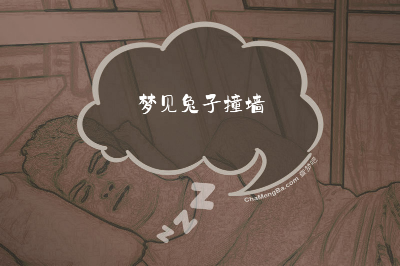 梦见兔子撞墙