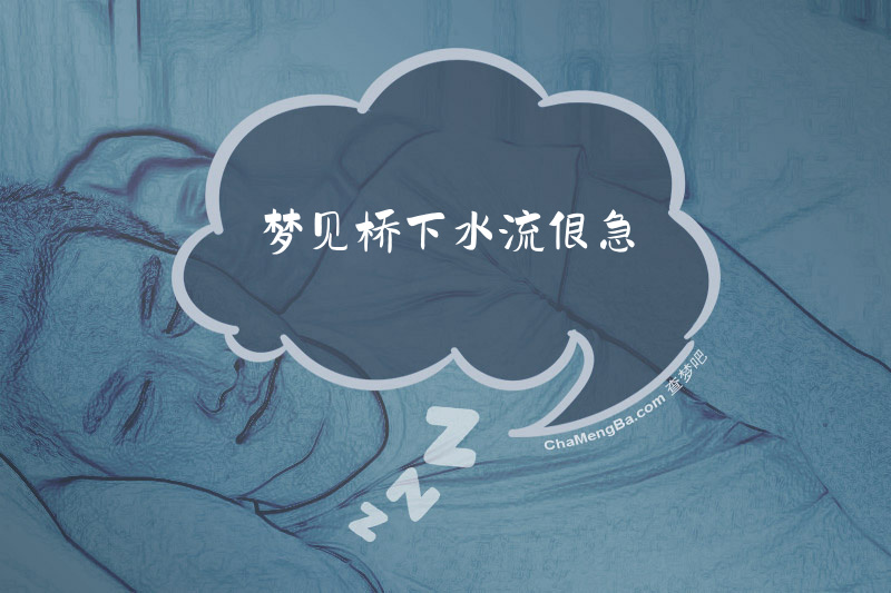 梦见桥下水流很急