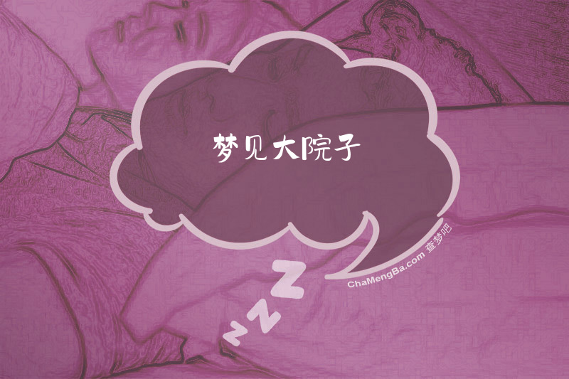 梦见大院子