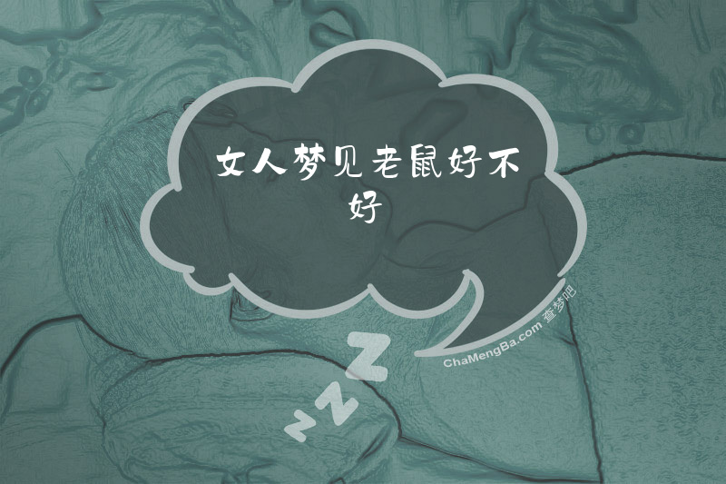 女人梦见老鼠好不好