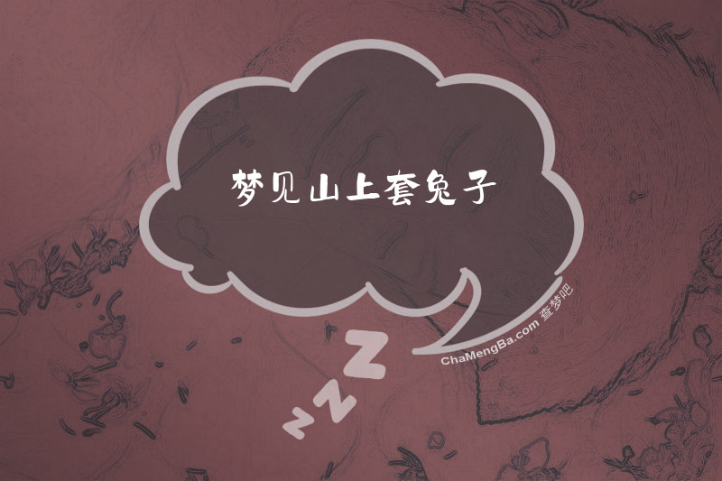 梦见山上套兔子
