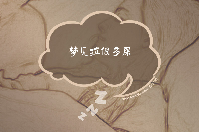 梦见拉很多屎