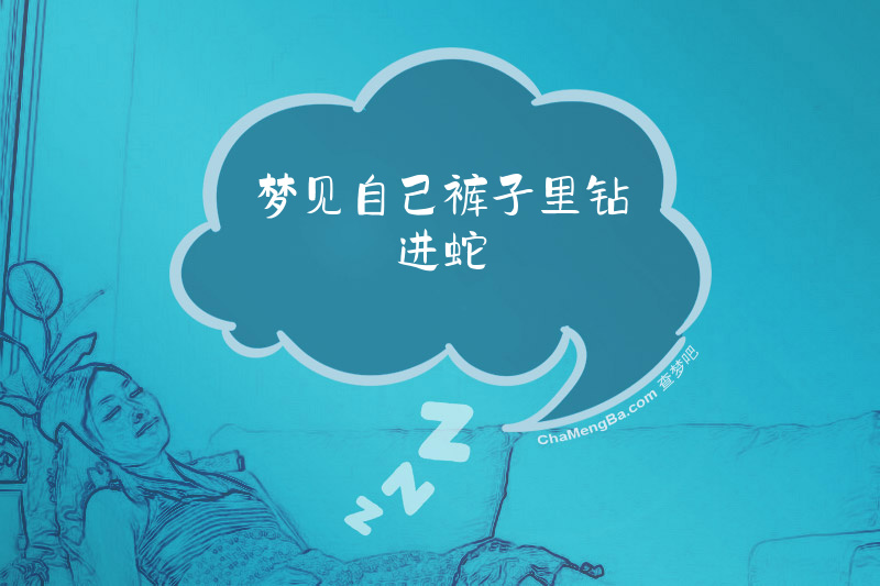 梦见自己裤子里钻进蛇