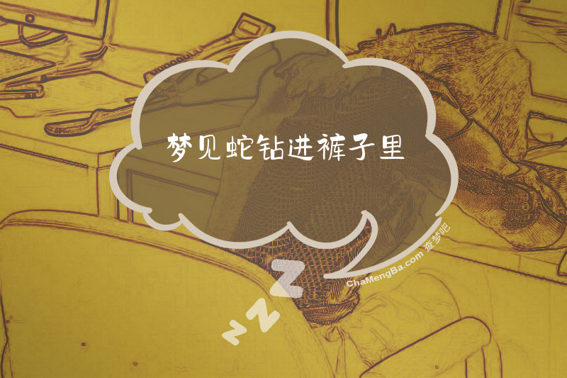 梦见蛇钻进裤子里