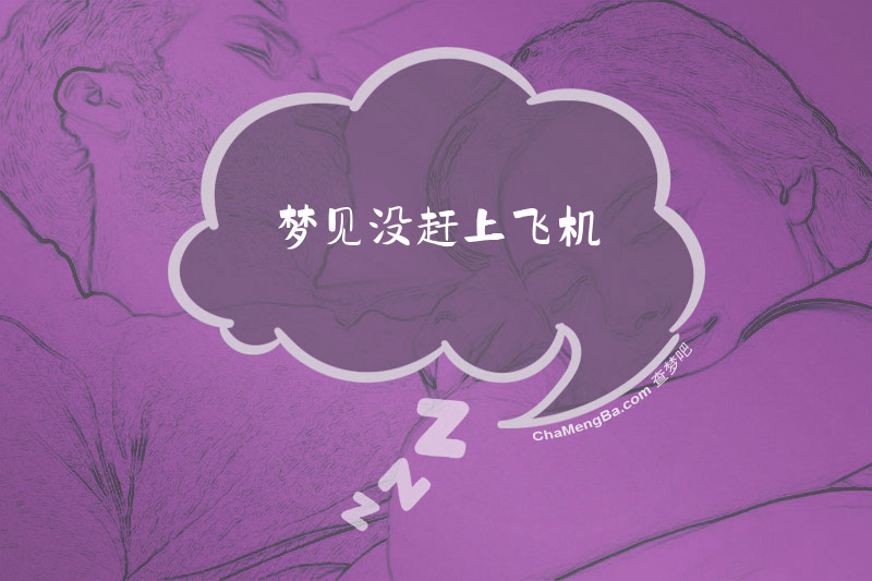 梦见没赶上飞机