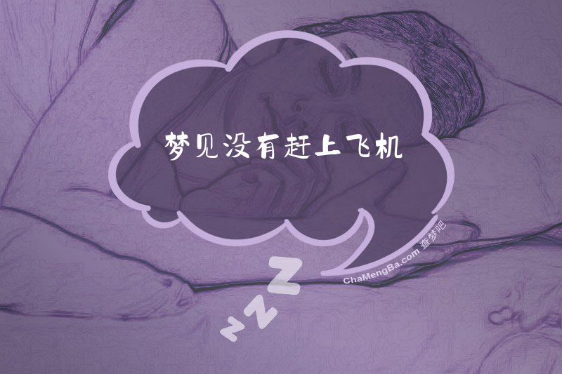 梦见没有赶上飞机