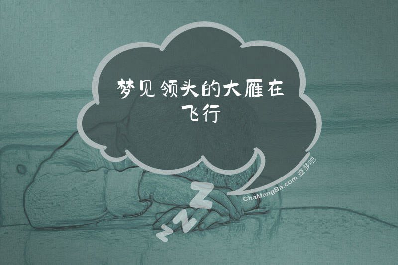 梦见领头的大雁在飞行