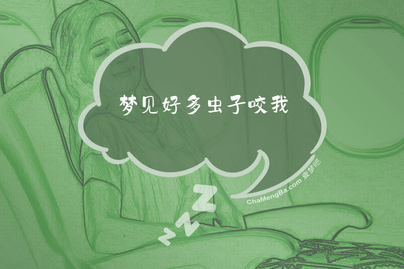 梦见好多虫子咬我