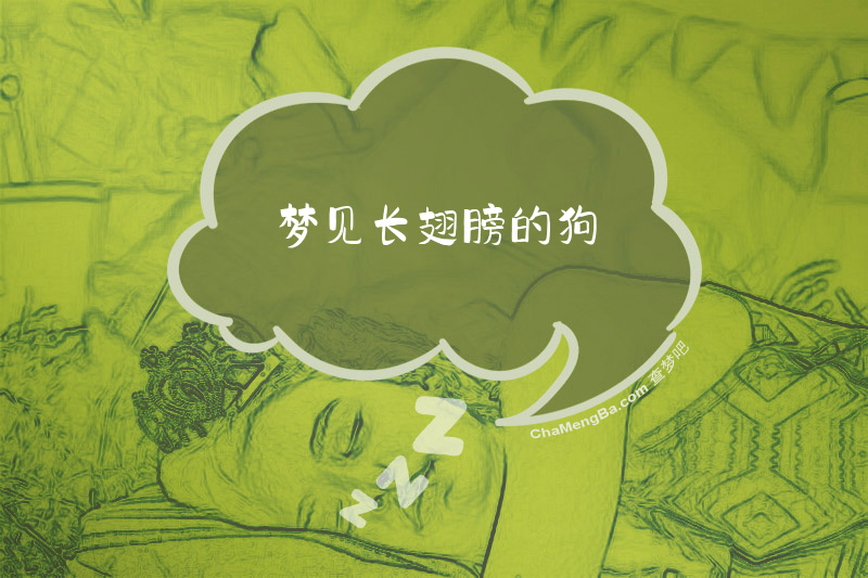 梦见长翅膀的狗