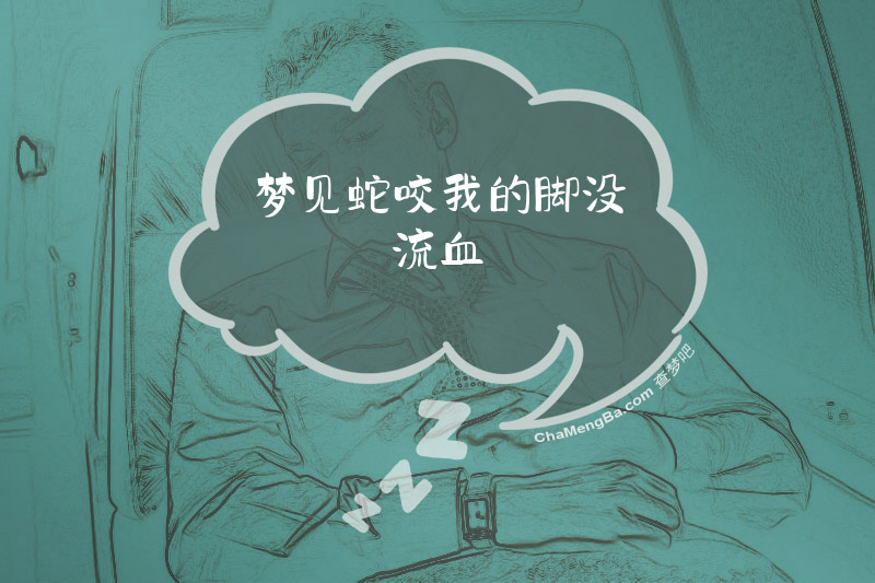 梦见蛇咬我的脚没流血