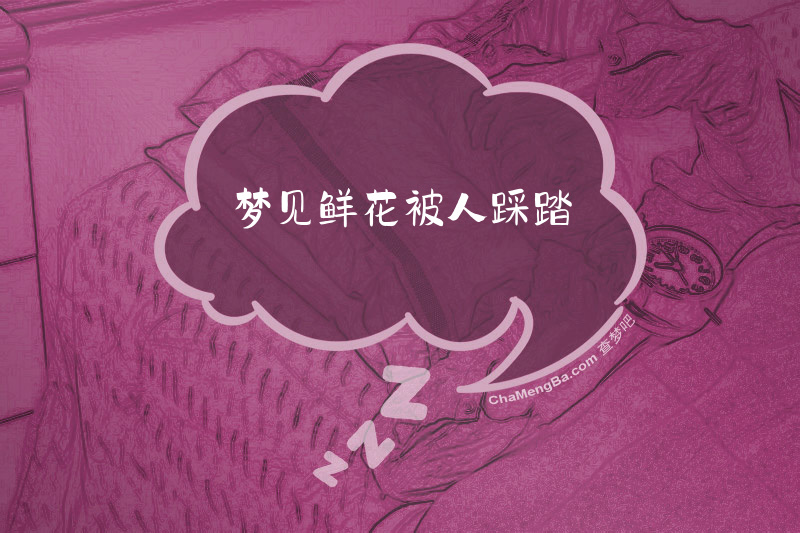 梦见鲜花被人踩踏