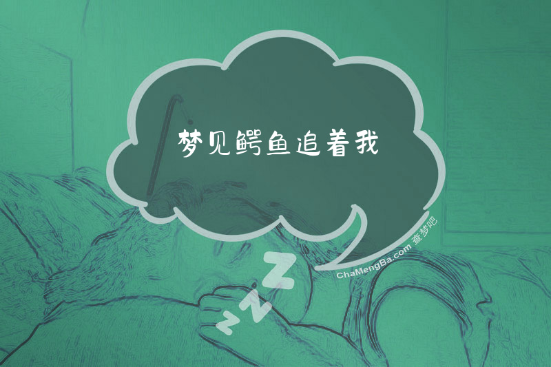 梦见鳄鱼追着我