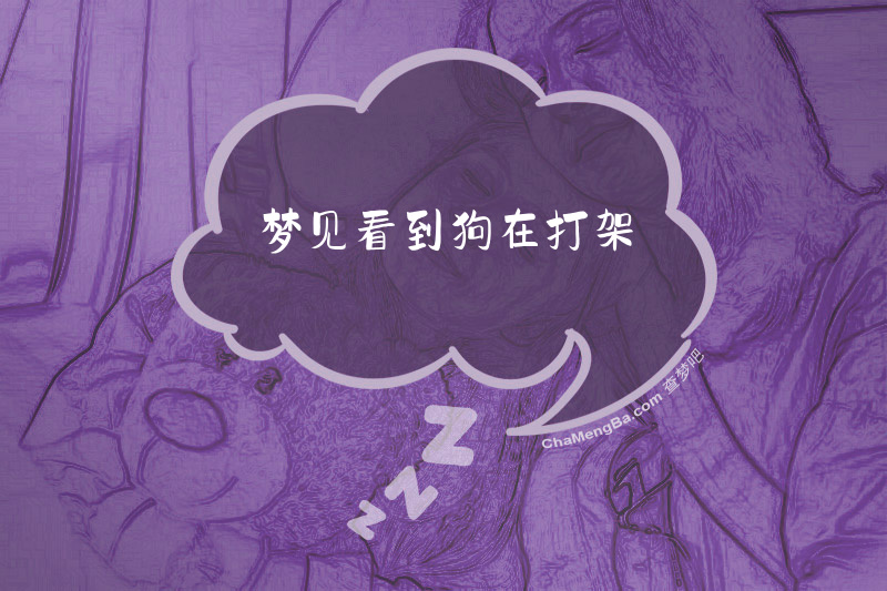 梦见看到狗在打架