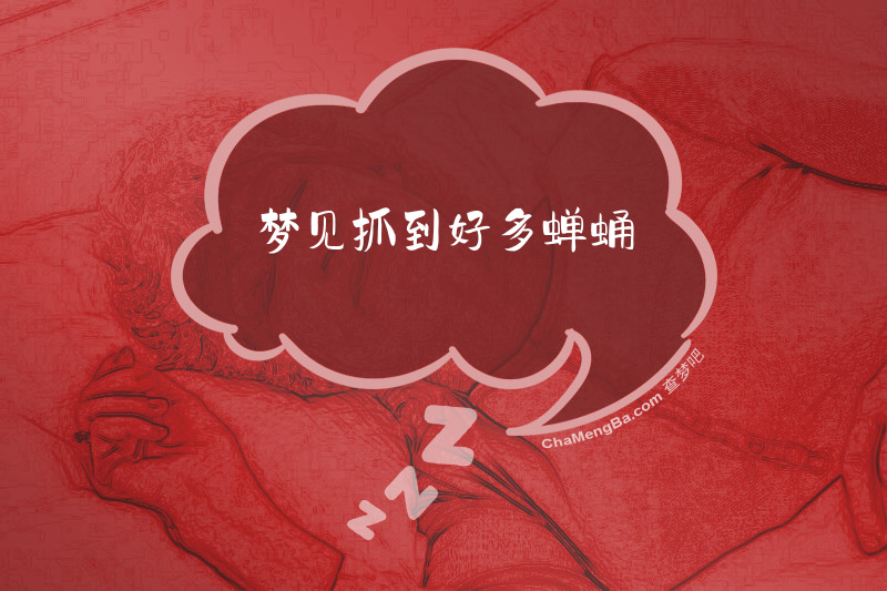 梦见抓到好多蝉蛹