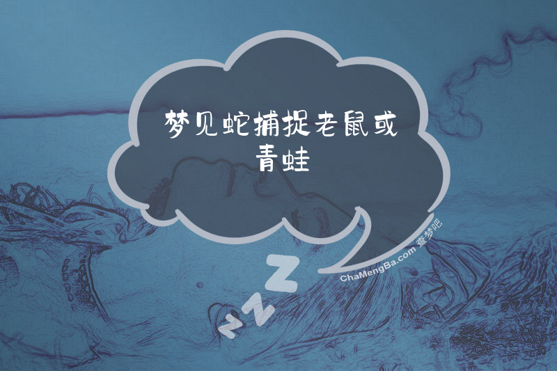 梦见蛇捕捉老鼠或青蛙