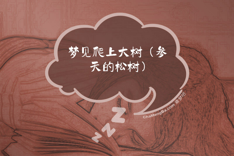 梦见爬上大树(参天的松树)