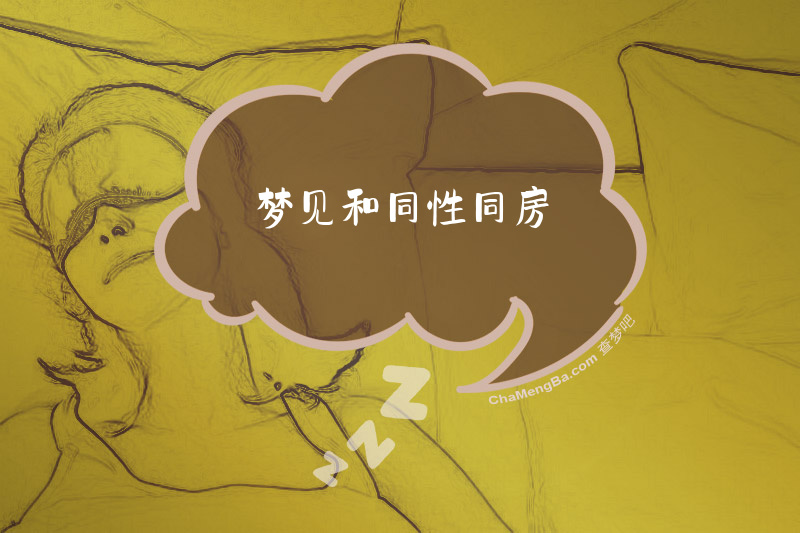 梦见和同性同房