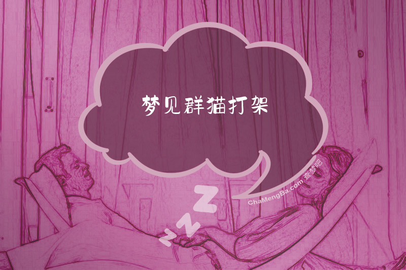 梦见群猫打架