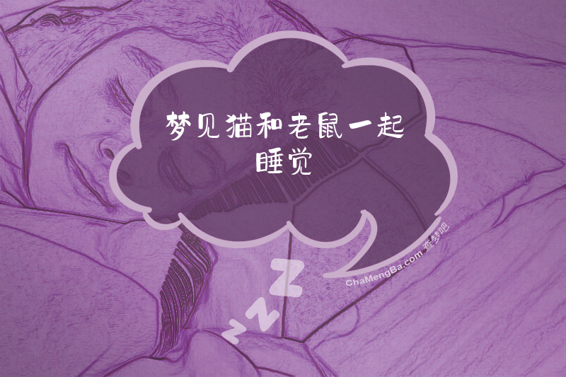 梦见猫和老鼠一起睡觉